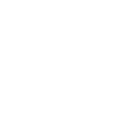 District Doughnut logo