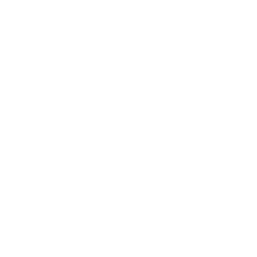 District Tattoo Company logo