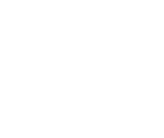 Son of a Fish logo