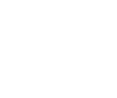 Spot of Tea logo