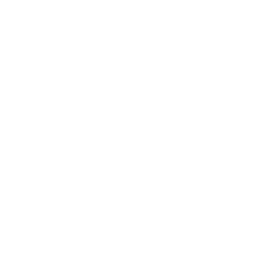 Vitis Wines logo