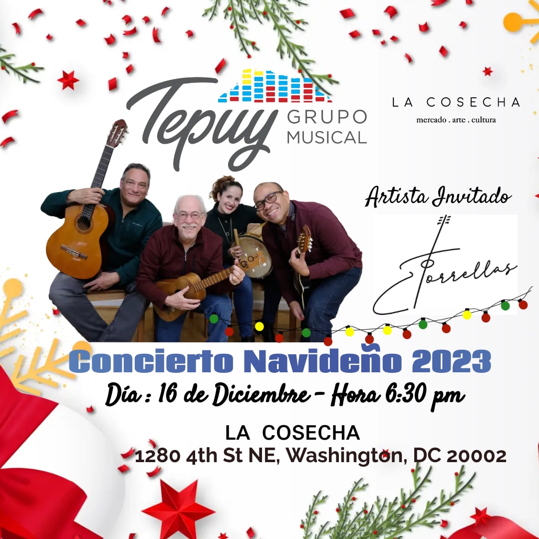 Image for Concierto Navideño with Group Tepuy