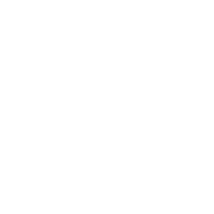 Chela Mitchell Gallery logo