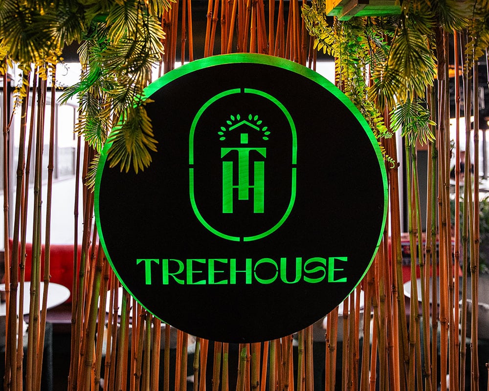 Welcome to Treehouse