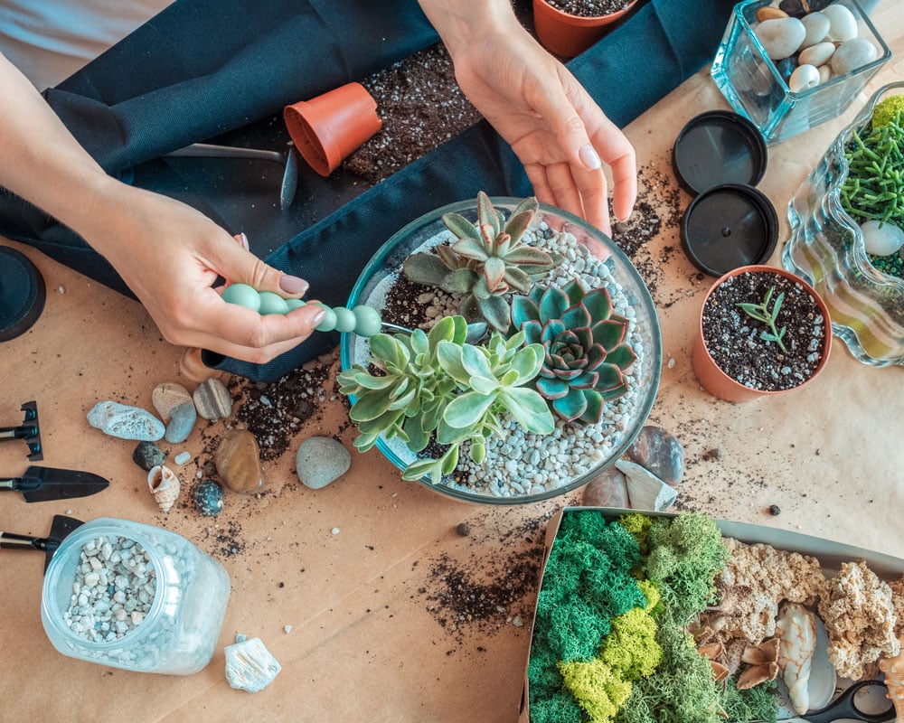 Image for Earth Day Terrarium Building Workshop with Wine