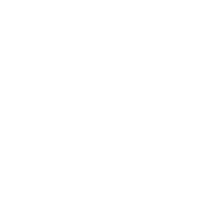 Toastique logo