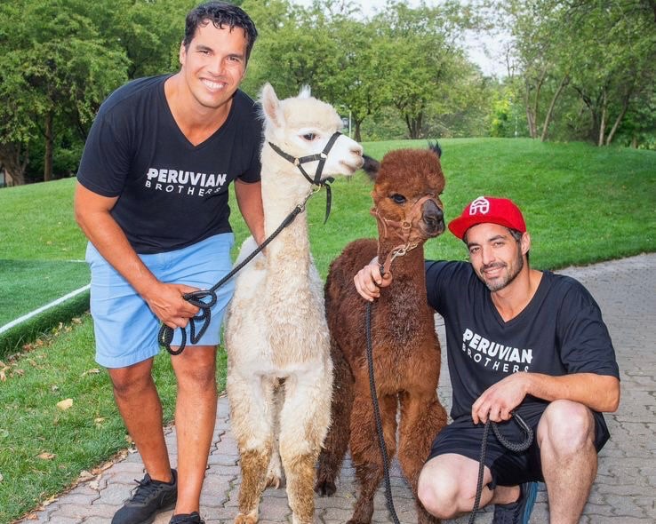 Image for Alpaca Happy Hour with Peruvian Brothers