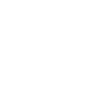 Flor Del Soul logo