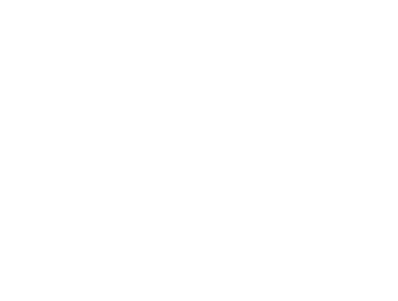 Fossette Focacceria logo