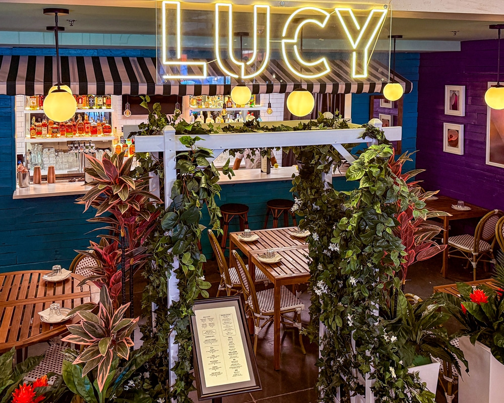 Headline image for Lucy Bar