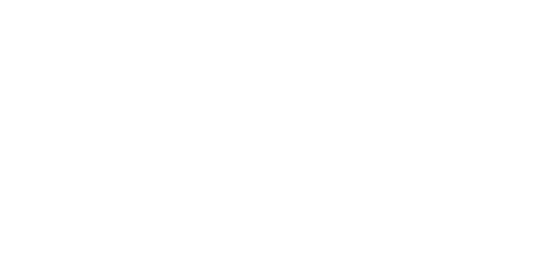 Blush & Bliss logo